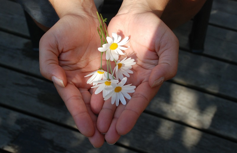 Foto: Glady, pixabay.com
