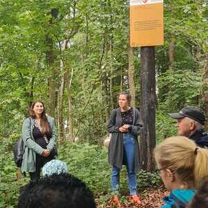 F. Fazlic, J. Walcher, L. Weichsler