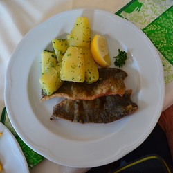 Mittagessen bei den 3 Hasen