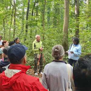 F. Fazlic, J. Walcher, L. Weichsler