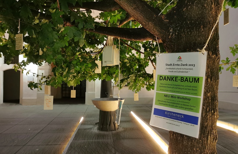 Dankebaum im Brunnenhof / R. Hautz