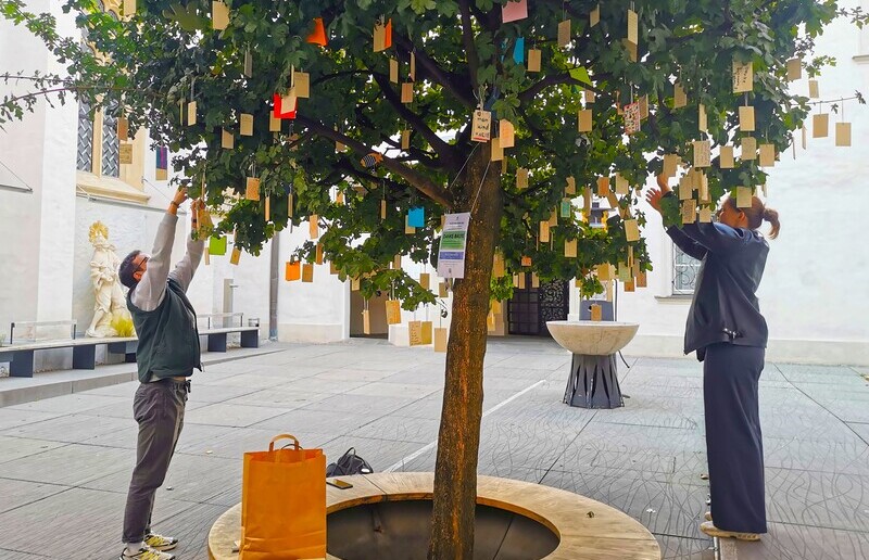 Dankebaum im Brunnenhof der Stadtpfarre / R. Hautz