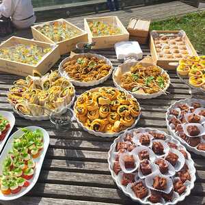 F. Fazlic, J. Walcher, L. Weichsler