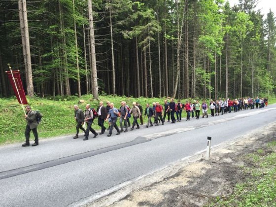 Wallfahrt von St. Gallen nach Frauenberg / P. Ulrich Diel OSB 2015