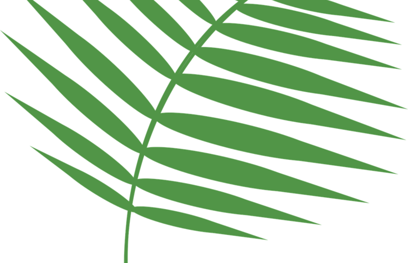 pixabay
