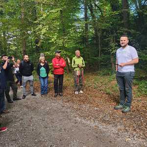 F. Fazlic, J. Walcher, L. Weichsler