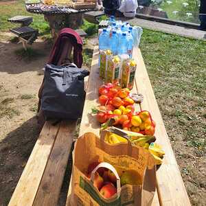 F. Fazlic, J. Walcher, L. Weichsler