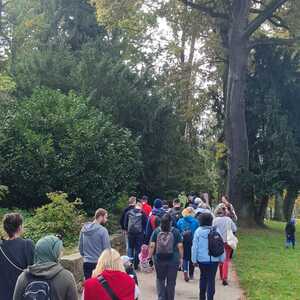 F. Fazlic, J. Walcher, L. Weichsler