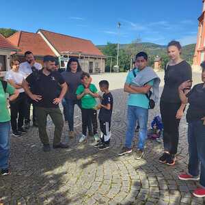 F. Fazlic, J. Walcher, L. Weichsler