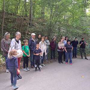 F. Fazlic, J. Walcher, L. Weichsler