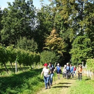 Foto: Pfarre Graz-Mariahilf