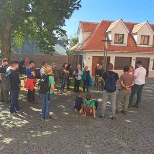 F. Fazlic, J. Walcher, L. Weichsler