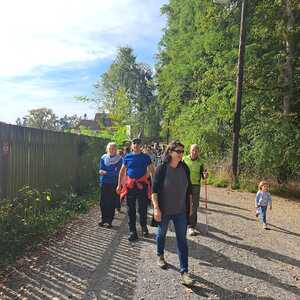 F. Fazlic, J. Walcher, L. Weichsler