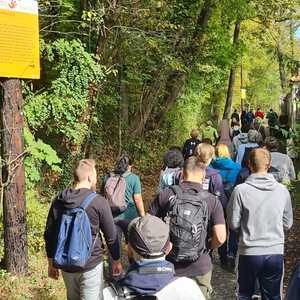 F. Fazlic, J. Walcher, L. Weichsler