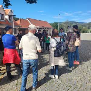 F. Fazlic, J. Walcher, L. Weichsler