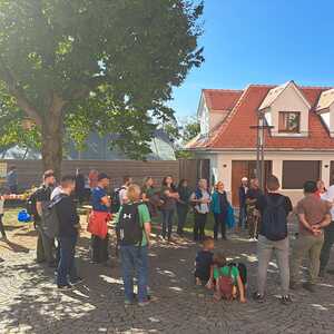 F. Fazlic, J. Walcher, L. Weichsler