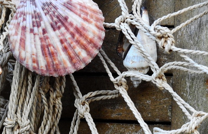 Foto: pixabay.com