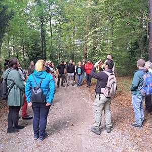 F. Fazlic, J. Walcher, L. Weichsler