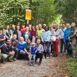 F. Fazlic, J. Walcher, L. Weichsler